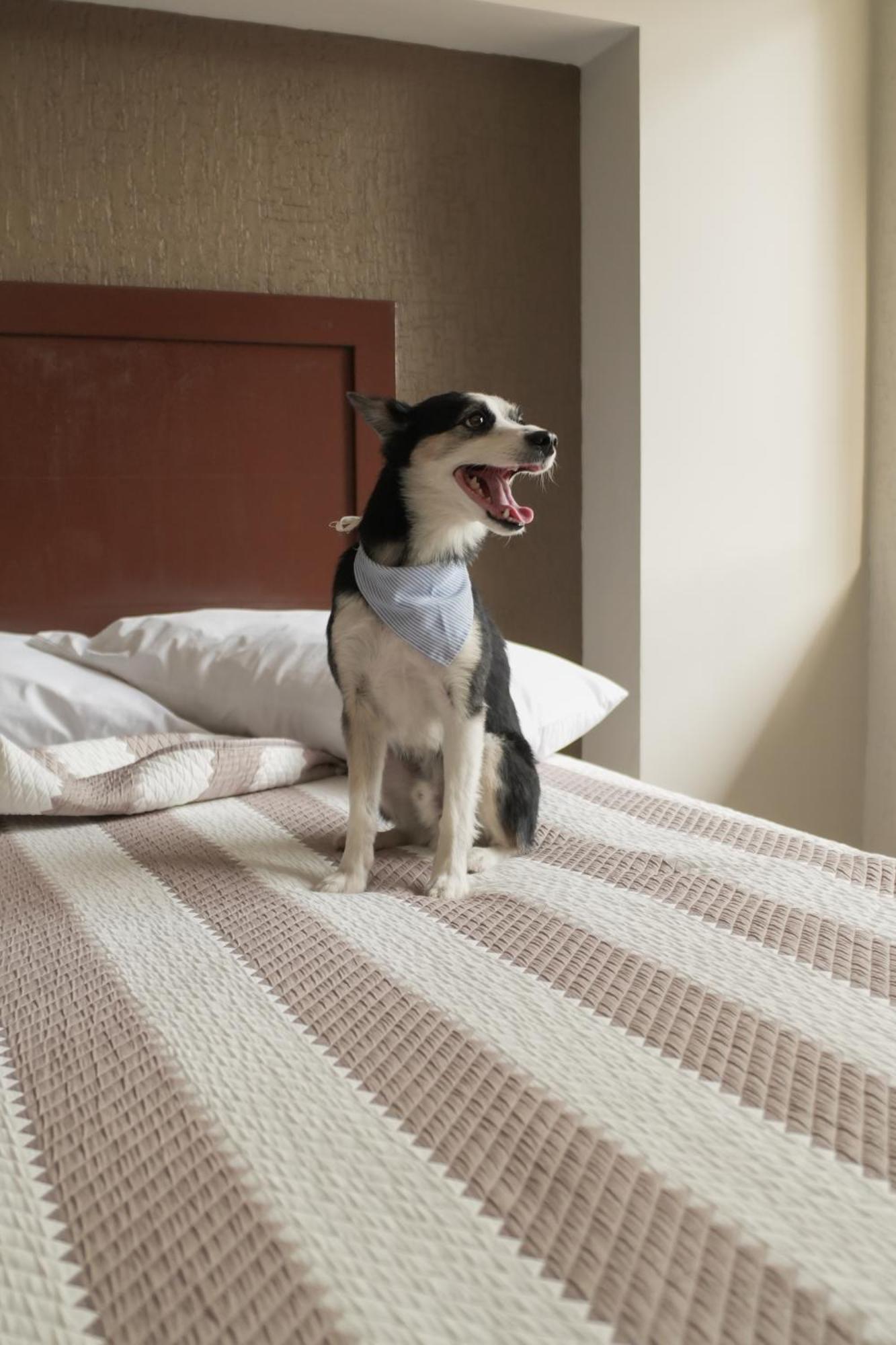 Hotel San Marcos Aguascalientes Kültér fotó